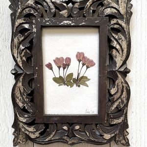 Dried Baby Pink Roses Framed With Ornate Wood